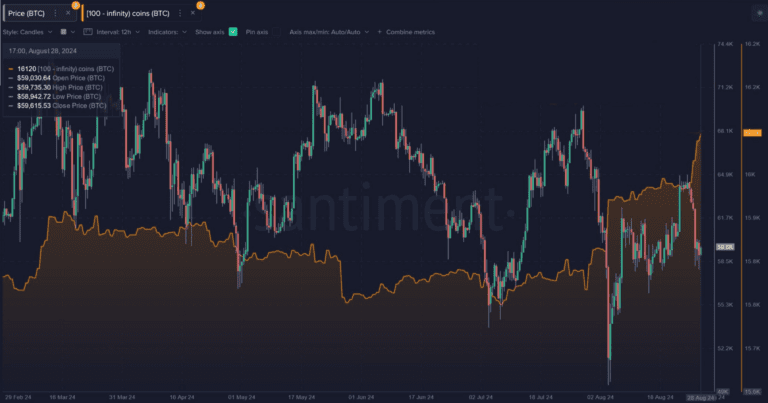 bitcoin whales